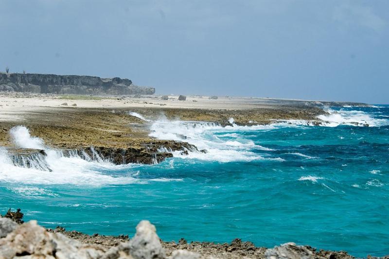Apartmán Woodz Bonaire Playa Exteriér fotografie
